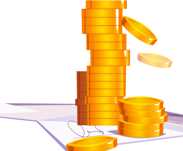 The Investment